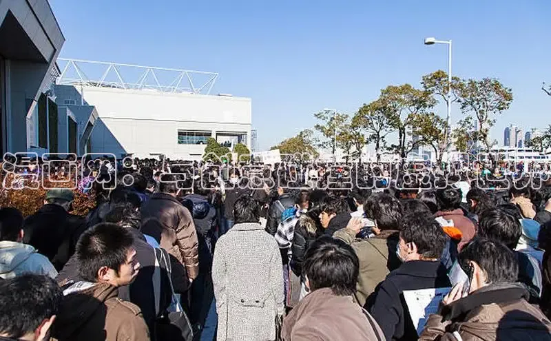 五一动画网页版