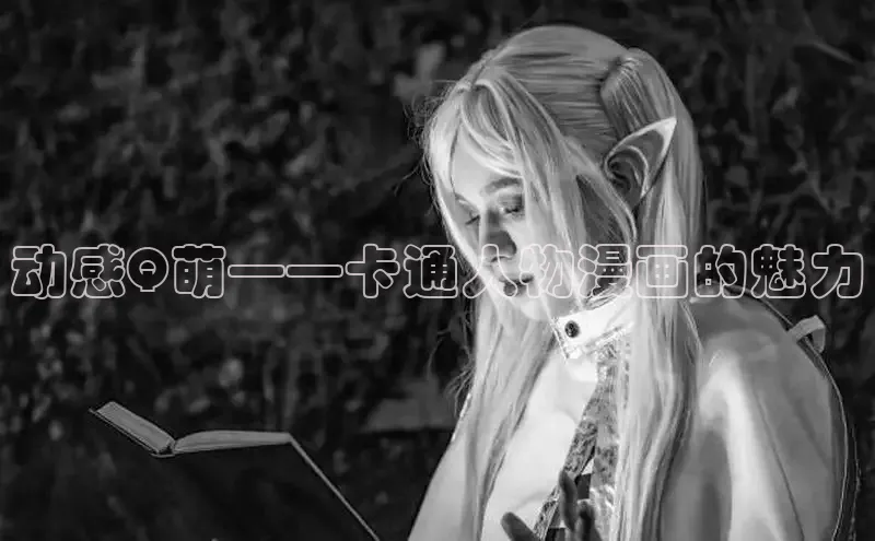 五一动画网页版