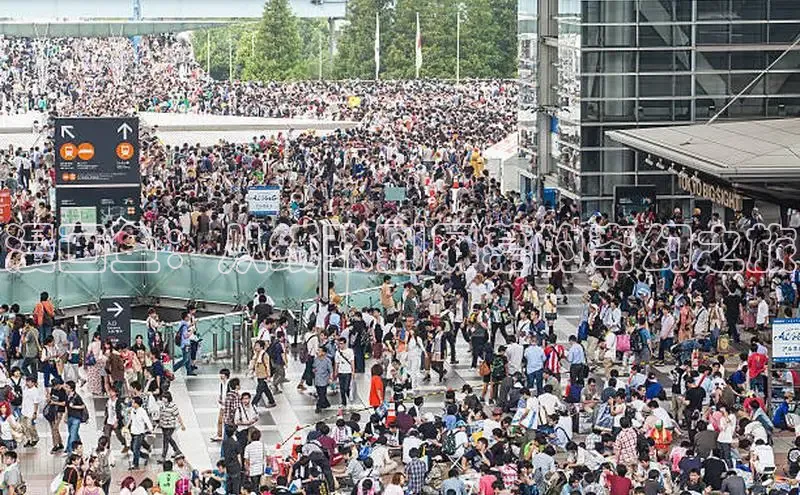 51动漫官网官方进入版本网页在线