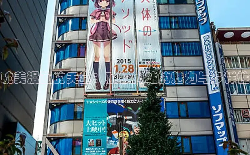 五一动画网页版